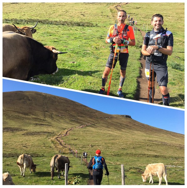Sancy 3