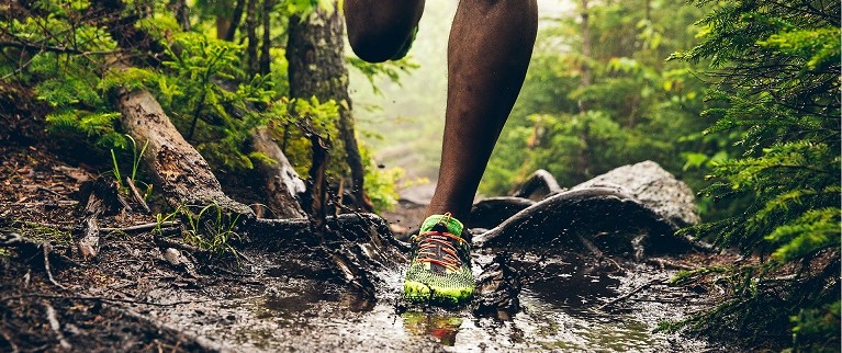 Trail